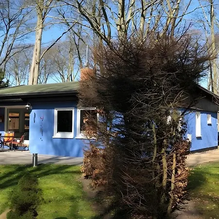 Strandhaus Fuer 6 Personen 100 M²
