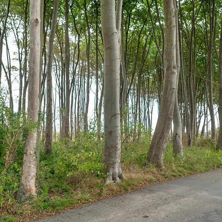 Ferienhaus Strandhaus Für 6 Personen 100 M² *